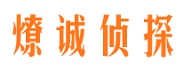 比如市私家侦探